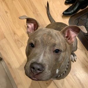 Meet your Posher, Tori